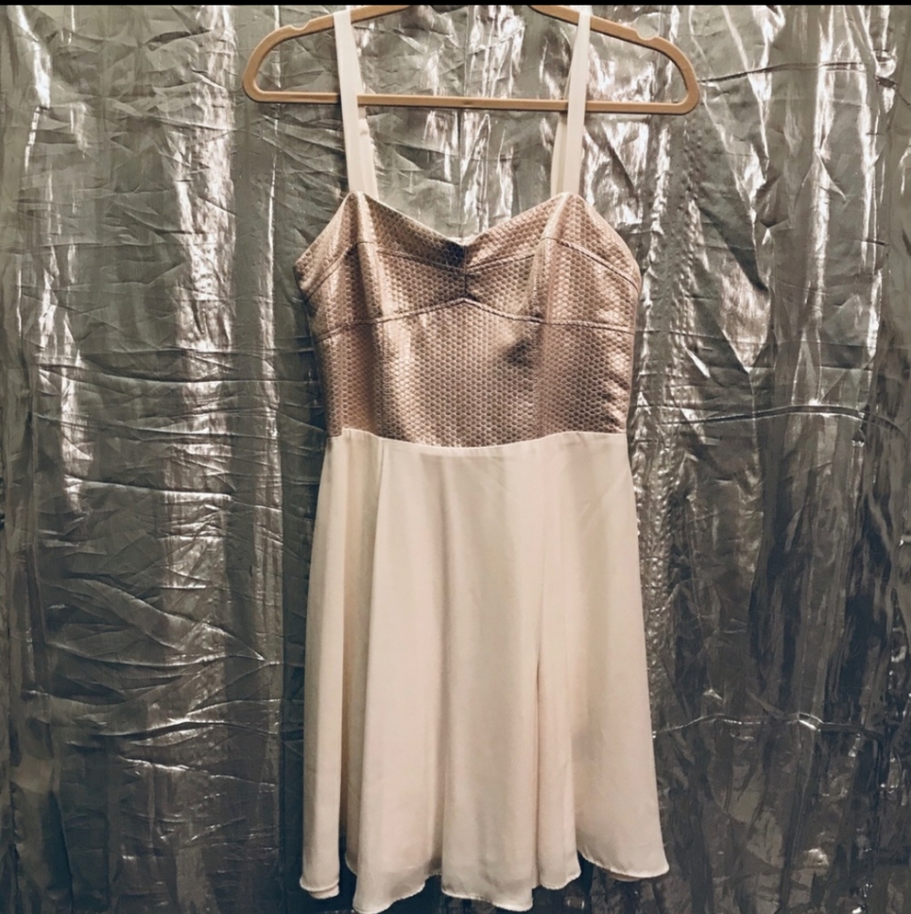 Express Shimmer Champagne Cocktail Dress